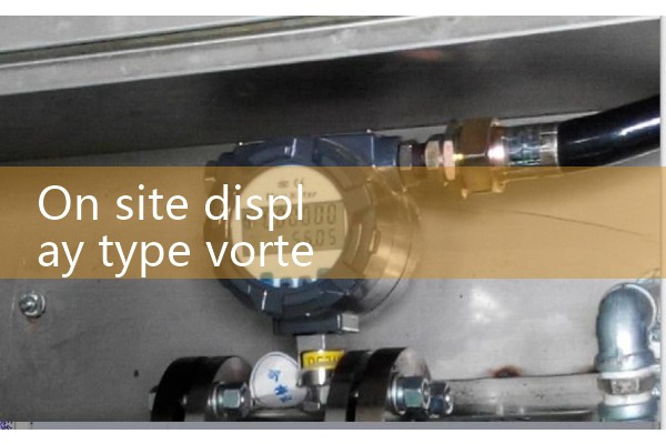 On site display vortex flowmeter